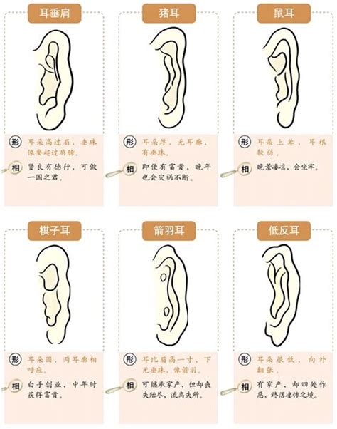 耳洞大 面相|【耳朵大面相】「耳朵大面相｜揭開耳朵大小與財運的神秘關聯」 